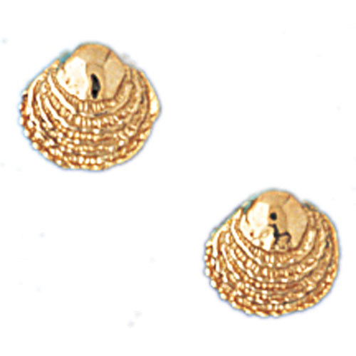14k Yellow Gold Shell Stud Earrings