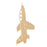 14k Yellow Gold USAF Space Shuttle Charm