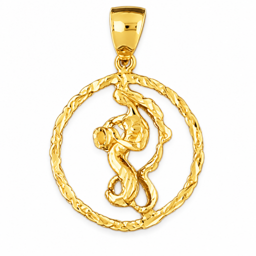 14k Yellow Gold Zodiac - Aquarius Charm