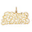 14k Yellow Gold Precious Grandma  Charm