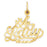 14k Yellow Gold #1 Lady Charm