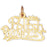 14k Yellow Gold Polish Princess Charm