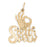 14k Yellow Gold South Paw Charm