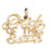 14k Yellow Gold Pride of the South Charm