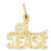 14k Yellow Gold #1 Tease Charm