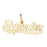 14k Yellow Gold Expensive Charm