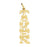 14k Yellow Gold Taken Charm