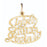 14k Yellow Gold Singe and Lovin it Charm