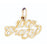 14k Yellow Gold 100% Crazy Charm