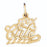 14k Yellow Gold 100% Cute Charm