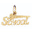 14k Yellow Gold School Charm