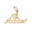 14k Yellow Gold Special Nurse Charm