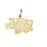 14k Yellow Gold I love country music Charm