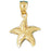 14k Yellow Gold Starfish Charm