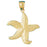 14k Yellow Gold Starfish Charm