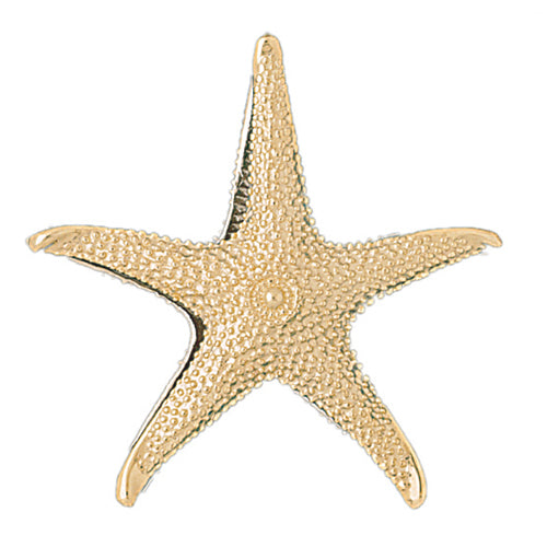 14k Gold Two Tone Reversible Starfish Charm