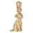 14k Yellow Gold Schnauzer Dog Charm