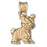 14k Yellow Gold Yorkshire Terrier Dog  Charm
