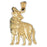 14k Yellow Gold Coyote Charm