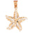 14k Yellow Gold Starfish Charm