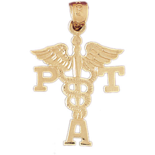 14k Yellow Gold PTA Physical Therapist Assistant Charm