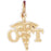 14k Yellow Gold OT Occupational Therapist Charm