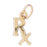 14k Yellow Gold RX Mixing Bowl Charm