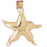 14k Yellow Gold Christmas Star Charm