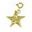 14k Yellow Gold Star Charm