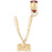 14k Yellow Gold 3-D, Moveable Charm