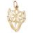 14k Yellow Gold Flower Charm