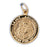 14k Yellow Gold St. Anthony Charm