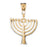 14k Yellow Gold Menorah Charm