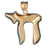 14k Yellow Gold Chais Charm