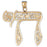 14k Yellow Gold Chais Charm