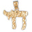 14k Yellow Gold Chais Charm