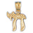 14k Yellow Gold Chais Charm