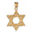 14k Yellow Gold Star of David Charm