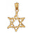 14k Yellow Gold Star of David Charm