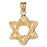 14k Yellow Gold Star of David Charm