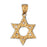 14k Yellow Gold Star of David Charm