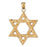 14k Yellow Gold Star of David Charm