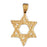 14k Yellow Gold Star of David Charm