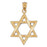 14k Yellow Gold Star of David Charm