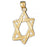 14k Yellow Gold Star of David Charm