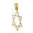 14k Yellow Gold Star of David Charm