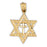 14k Yellow Gold Star of David Charm