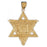 14k Yellow Gold Star of David Charm