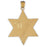 14k Yellow Gold Star of David Charm