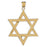 14k Yellow Gold Star of David Charm